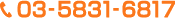 03‐5851‐6817
